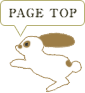 PAGE TOP